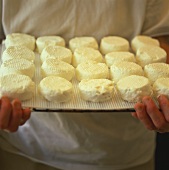 Person hält Tablett mit Ziegenkäse