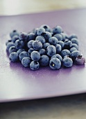 Blueberries with drops of water
