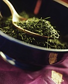 Grüne Teeblätter (Sorte Gyokuro)