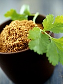 Ground coriander in bowl and coriander leaves