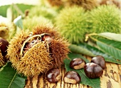 Chestnuts