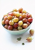 Gooseberries in a bowl