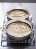 Rich sponge cake in baking tin on cake rack