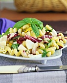 Pasta salad with radicchio, rocket and mozzarella