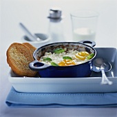 Fried eggs with basil; toast