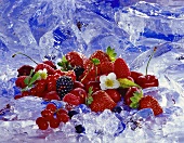 Frische Beeren und Kirschen auf Eis