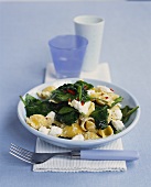 Pasta shells with spinach and sheep’s cheese