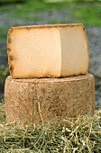 Hard cheese from Auvergne, France