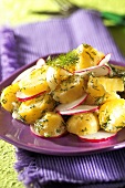 Potato salad with radishes and dill