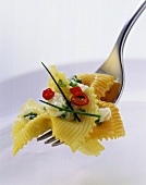 Farfalle with sheep’s cheese sauce on fork