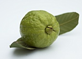 Guava with leaf