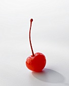 An Amarena cherry with stalk