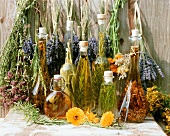 Various bottles of herb oil and herb vinegar