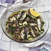 Marinated sardines with garlic and herbs