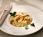 Risotto with cress and rabbit