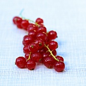 Rote Johannisbeeren auf blauem Untergrund