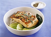 Fried salmon fillet on pak choi and rice