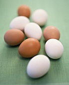 White and brown eggs on green background
