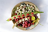Green, white, red flageolet beans in a dish