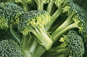 Broccoli (close-up)