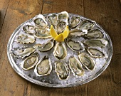 Oyster Appetizer