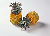 Two baby pineapples