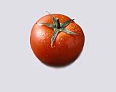 Eine frisch gewaschene Tomate