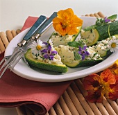 Zucchini mit Frischkäsefüllung, garniert mit Blüten