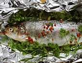 Salmon trout with parsley on aluminium foil