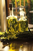 Two Bottles of Oil Flavored with Sage and Rosemary