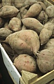 Sweet potatoes in wooden crate