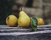 Williams Pears