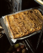 Tray-baked apple cake 