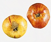 Two Gravensteiner apples