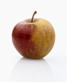 One Red Boskop apple