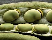 Green Beans in the Pod, Close Up
