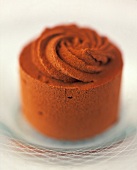 A small chocolate ice cream cake