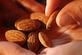 Hand holding blanched almonds