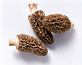 Three morels