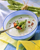 Green asparagus soup with diced tomato