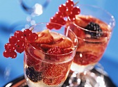 Summer punch with mixed berries
