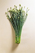 A bunch of garlic chives