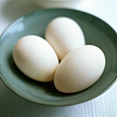Drei weiße Eier auf einem Teller