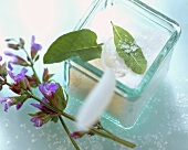 Salz mit Salbeiblättern im Glasgefäss, daneben Salbeiblüten