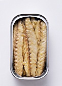 Sardines in an opened tin