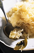 Sauerkraut with spoon and spices