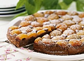 Chocolate semolina cake with apricots and icing sugar