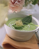 Whipped ramsons (wild garlic) soup