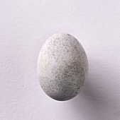 Century egg (duck; Asia)