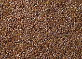 Linseed, filling the picture